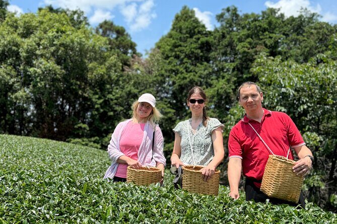 Half Day Nara and Matcha Farm Private Van Tour - Frequently Asked Questions
