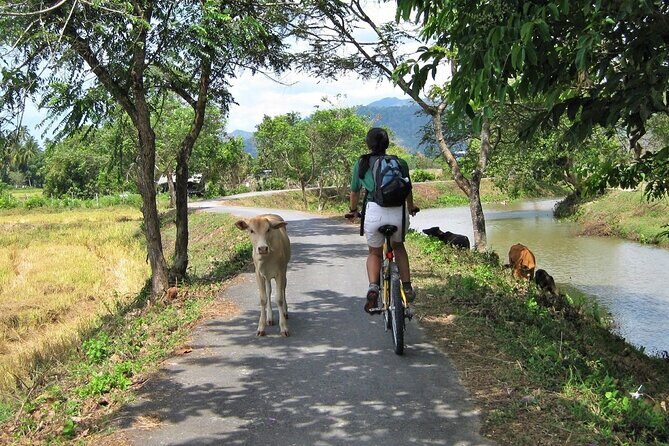 Half Day Nature Cycling Trip - The Itinerary in Detail: What to Expect