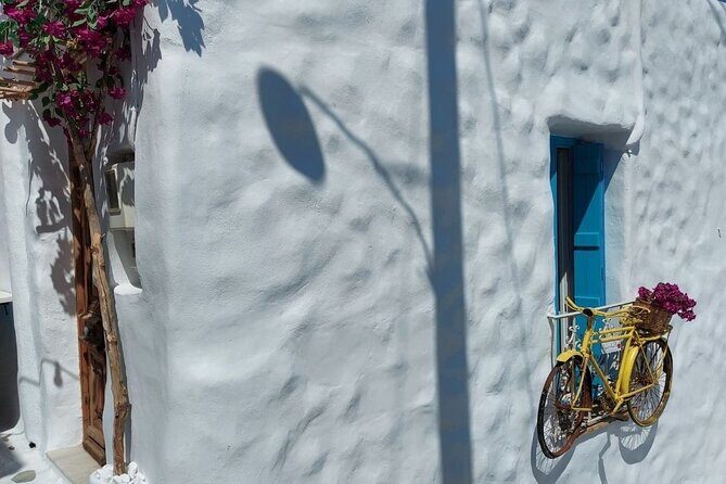 Half-Day Naxos Old Town, Castle and Apollo Temple Private Tour - Final Thoughts