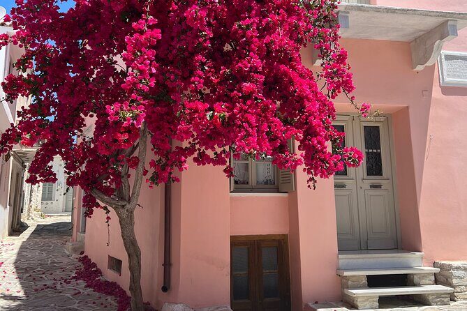 Half Day Naxos Village Private Tour - FAQ