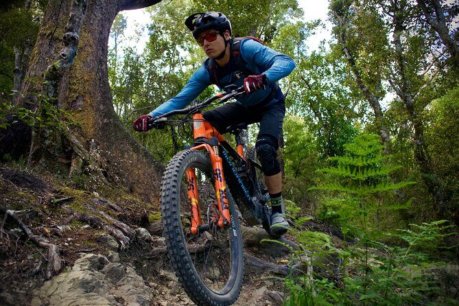 Half Day Nelson Electric Mountain Bike Rental Adventure - Key Points