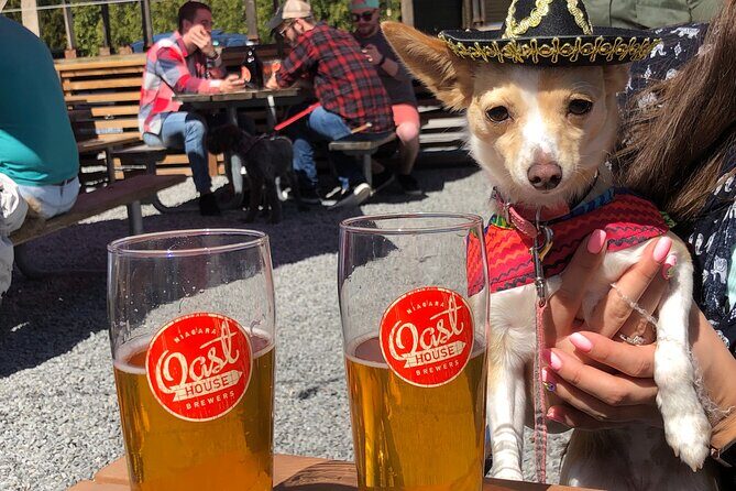 Half-Day Niagara Micro Brewery Tour - Transportation and Group Size