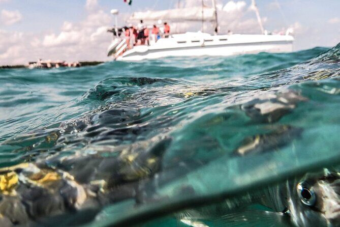Half Day Nude Cruise Tour at Maroma Beach - Who Would Enjoy This Tour?
