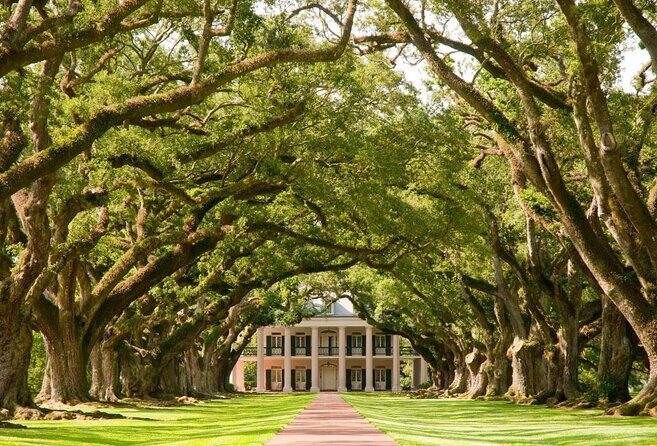 Half-Day Oak Alley Plantation Tour in Vacherie - Introduction