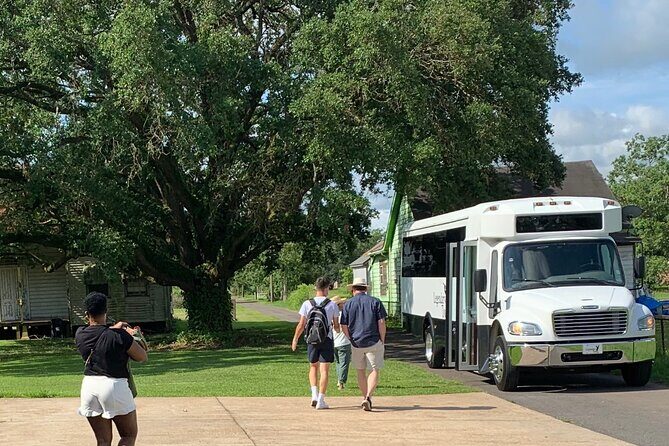 Half-Day Oak Alley Plantation Tour in Vacherie - Who Will Love This Tour?