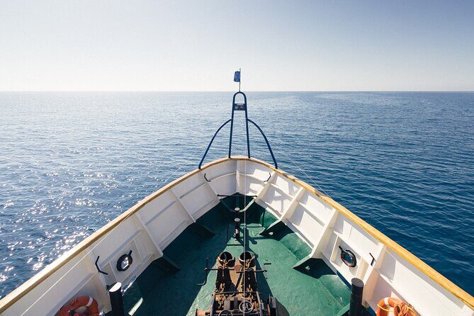 Half-Day Odyssey Guided Boat Safari with Lunch in Cyprus - What the Reviews Reveal