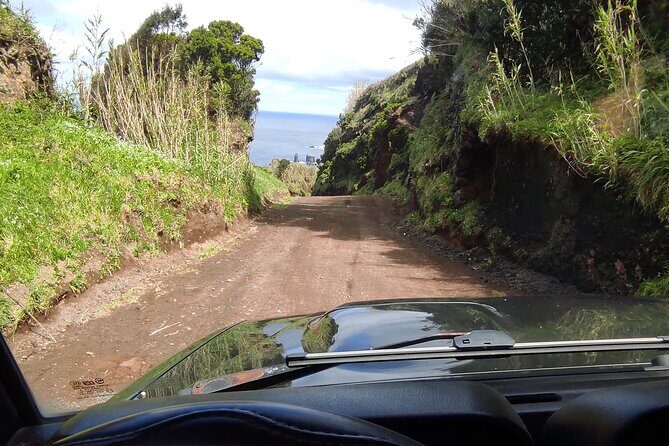 Half Day Off Road Tour in Azores - Who Is This Tour Best For?