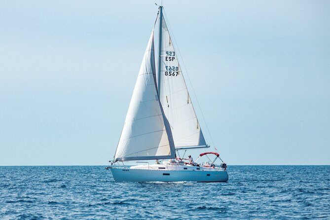 Half day on a private sailboat in Mallorca (port d'andratx) - The Itinerary: What to Expect on Your Private Mallorca Sailboat Trip