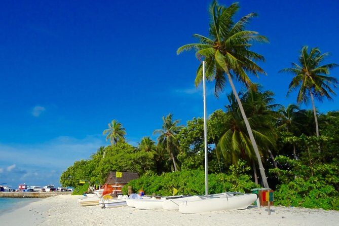 Half-Day Original Eco Tour to Villimale From Malé - Transportation, Group Size, and Practicalities