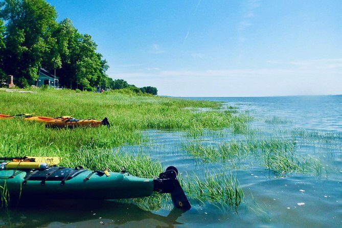 Half-Day Orleans Island Small-Group Sea Kayaking Tour - Who Will Appreciate This Tour?