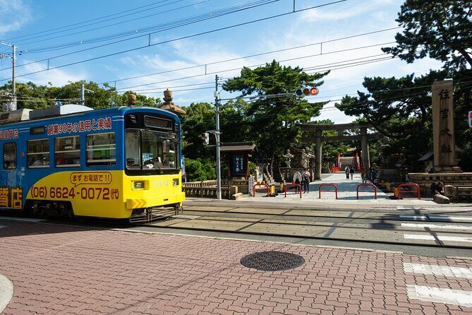 Half day Osaka Bay Area Cycling with E-Assist Bicycle Tour - Key Points