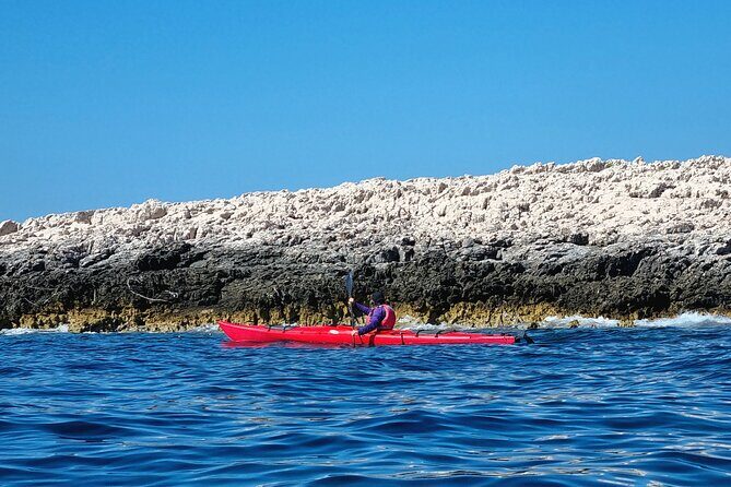 Half Day Paklinski Islands Sea Kayak Tour - An In-Depth Look at the Experience