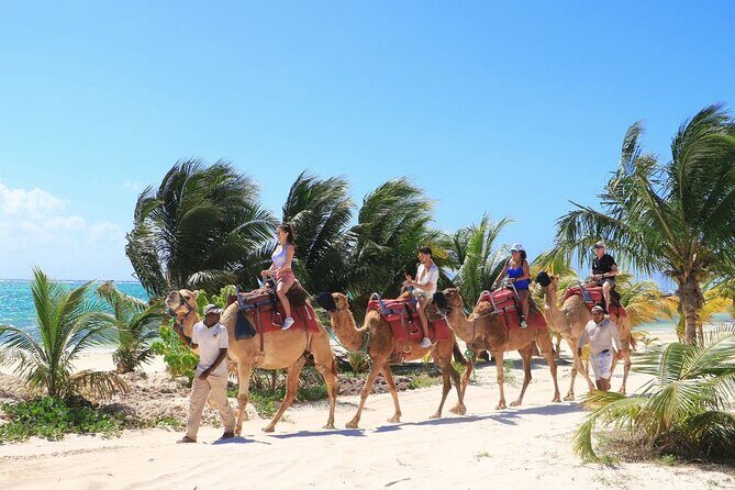 Half-Day Parasailing and Camel Caravan Tour in Maroma Beach - An In-Depth Look at the Experience