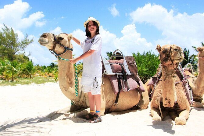 Half-Day Parasailing and Camel Caravan Tour in Maroma Beach - The Sum Up: Is It Worth Your Money?