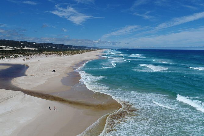 Half-Day Pemberton National Parks Beach and Forest Eco Adventure - Why Travelers Love This Tour