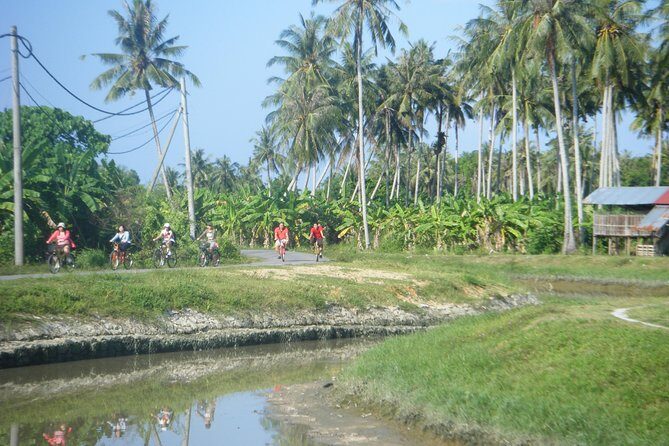 Half-Day Penang Countryside Cycling Tour - Exploring Penang’s Countryside by Bicycle: A Practical Review