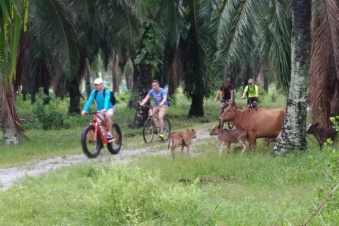 Half-Day Penang Countryside Cycling Tour - Key Points