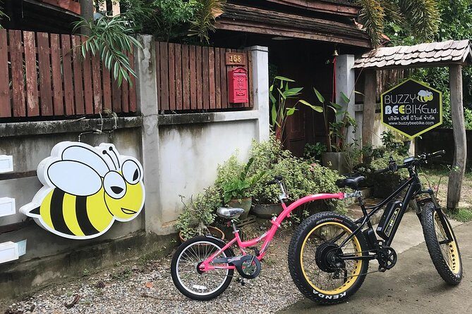 Half-day Ping River and rice paddies E-bike adventure (flat land, GUIDED) - Key Points