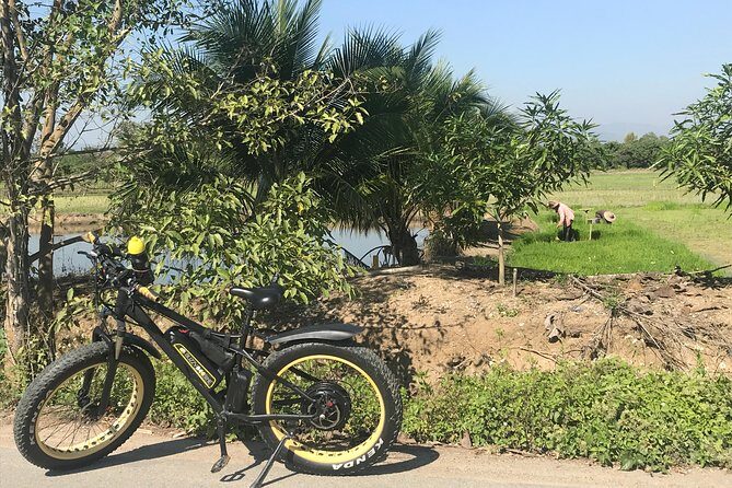 Half-day Ping River and rice paddies E-bike adventure (flat land, GUIDED) - The Sum Up