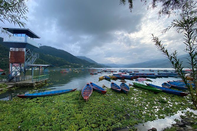 Half Day Pokhara Sightseeing by Car - Discovering Pokhara in Half a Day: An In-Depth Review of the Private Sightseeing Tour
