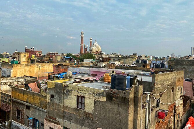 Half-Day Premium Classic Old Delhi Cycling Tour - Unity in Diversity - A Closer Look at the Experience