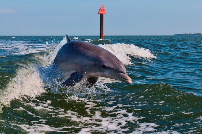 Half-Day Private Boating On Black Hurricane - Indian Rocks Beach - Practical Considerations