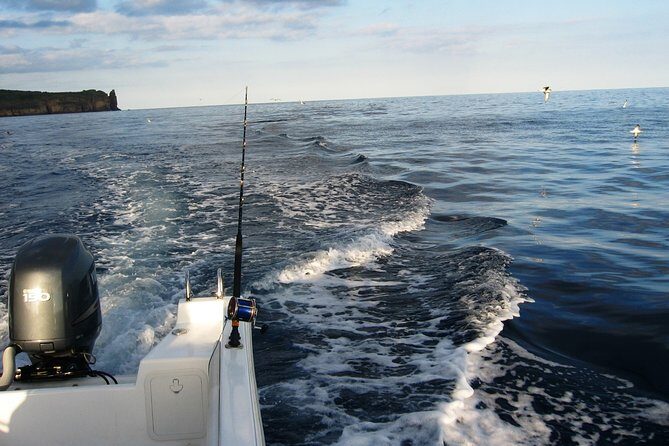 Half-Day Private Coastal Fishing Escape - Introduction: Why Consider This Fishing Tour?