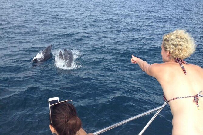 Half-Day Private Cruise with Drinks and Nibbles Included in Lagos - The Sum Up