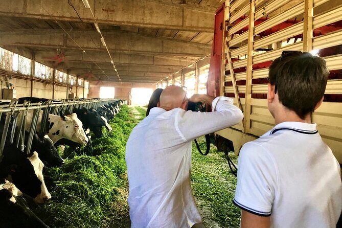 Half Day Private Emilia Foodie Experience - Practical Tips for Visitors