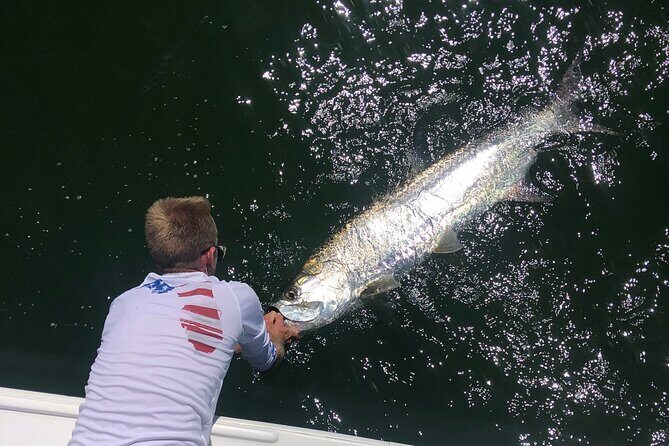 Half-Day Private Fishing Experience in Tampa Bay - Who Is This Tour Best Suited For?