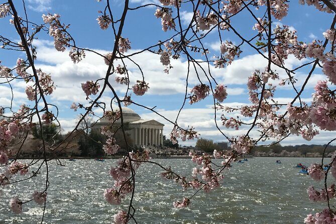 Half-Day Private Guided Bike Tour in Washington - FAQs