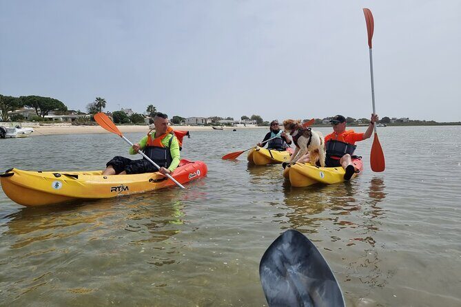 Half-Day Private Guided Kayak Island Tour - Practical Details & Tips