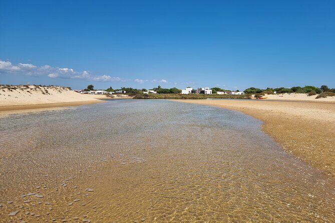 Half-Day Private Guided Kayak Island Tour - The Sum Up