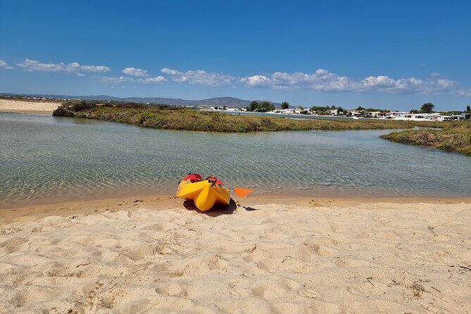 Half-Day Private Guided Kayak Island Tour - FAQ