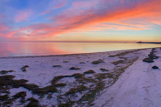 Half-Day Private Guided Nature of Floridas Gulf Coast Eco Tour - An In-Depth Look at the Eco Tour Experience