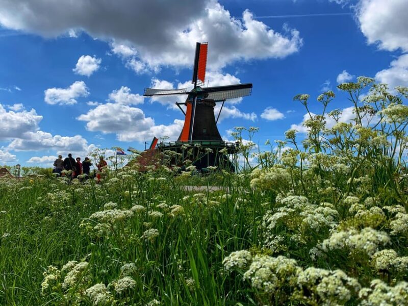 Half-Day Private Guided Sightseeing Tour of Zaanse Schans - Pricing & Value Analysis