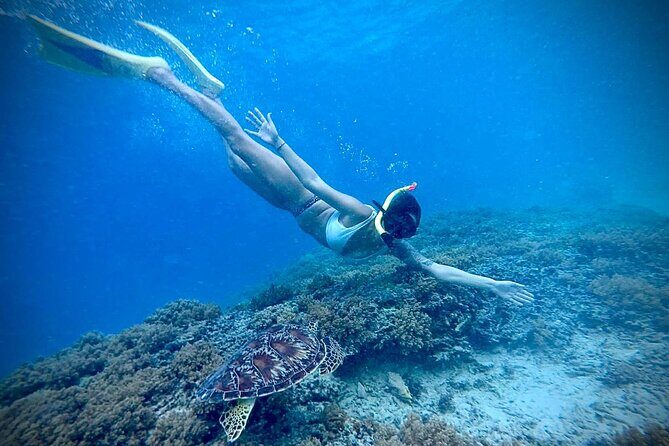 Half-Day Private Guided Snorkeling Turtles Underwater Statues - Final Words