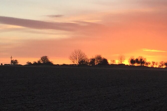 Half Day Private guided Tour Battlefields of the Somme - Exploring the Battlefields of the Somme: A Detailed Review of the Half Day Private Guided Tour