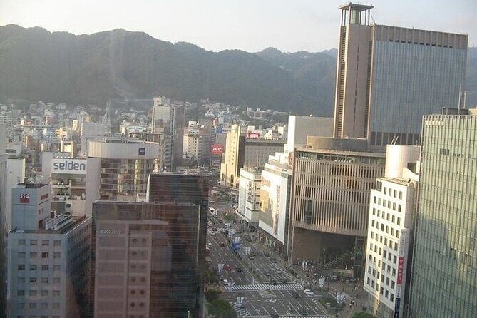 Half-Day Private Guided Tour to Kobe City - A Detailed Look at the Kobe Half-Day Tour