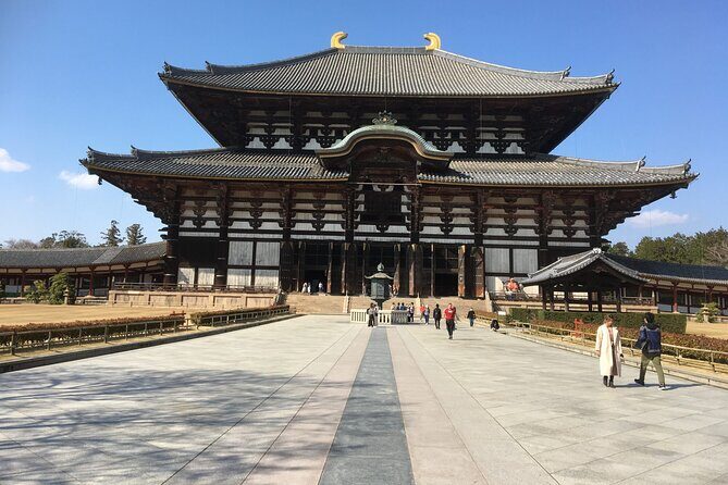 Half-Day Private Guided Tour to Nara City - An In-Depth Review of the Nara Half-Day Private Tour