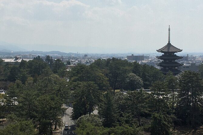 Half-Day Private Guided Tour to Nara City - What’s Included and What to Expect