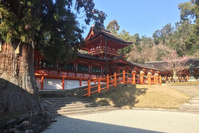 Half-Day Private Guided Tour to Nara City - Final Thoughts: Is This Tour Right for You?