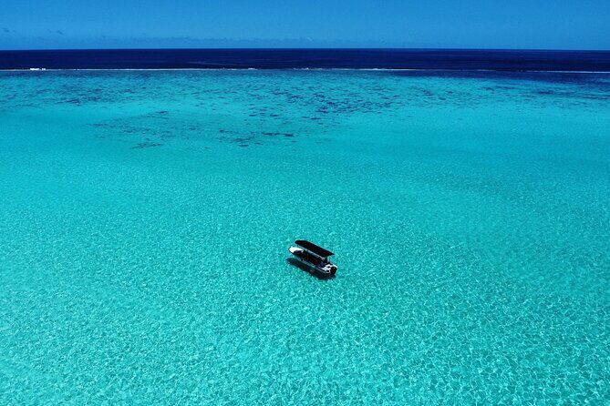 Half Day / Private Lagoon Adventure in Mo'orea - An In-Depth Look at the Lagoon Tour in Moorea