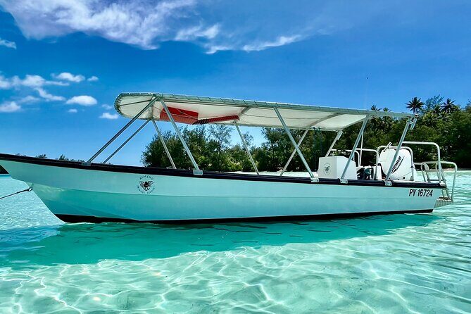 Half Day / Private Lagoon Adventure in Mo'orea - The Sum Up