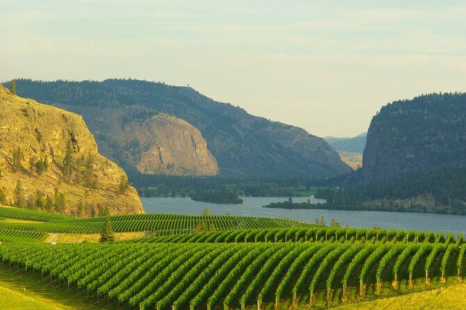 Half-Day Private Lake Country Wine Tour from Kelowna - Key Points