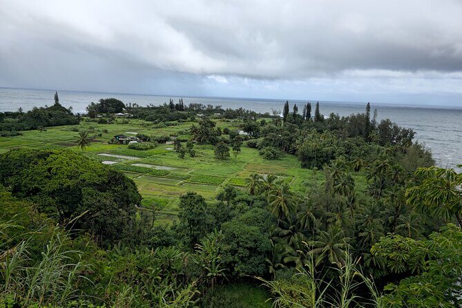 Half Day Private Road to Hana Tour with Pickup - Introduction to the Half Day Road to Hana Experience