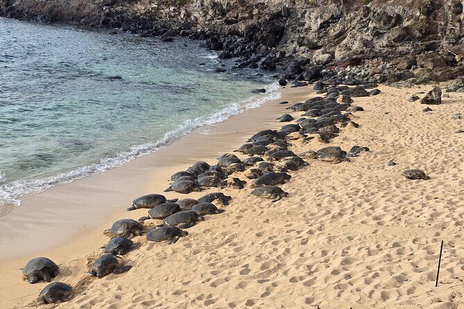 Half Day Private Road to Hana Tour with Pickup - What to Expect from the Experience