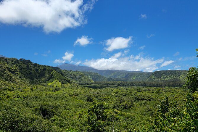 Half Day Private Road to Hana Tour with Pickup - Authentic Experiences and Traveler Insights