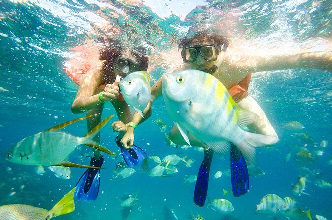 Half-Day Private Snorkel Sailing Adventure in Cabo San Lucas - What About the Cost?
