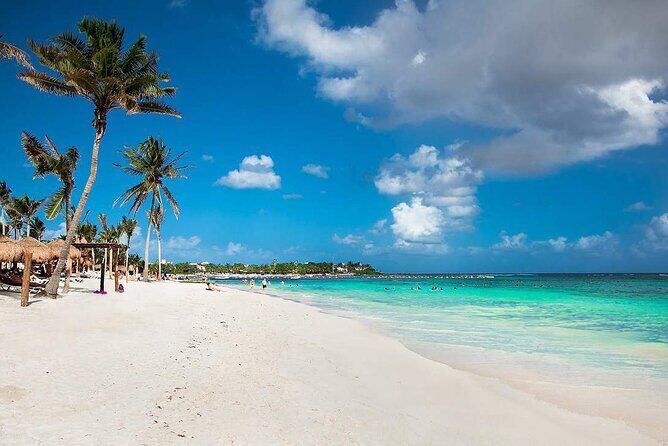 Half Day Private Snorkeling with Turtles and Majestic Cenotes - Who Will Love This Tour?